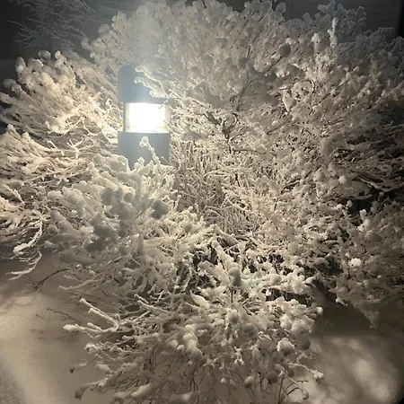 Cozy In The Center *