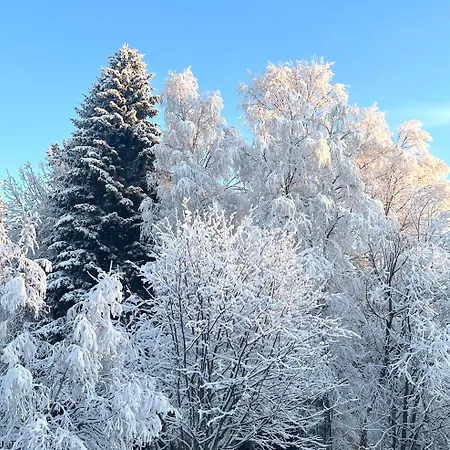 Cozy In The Center Rovaniemi