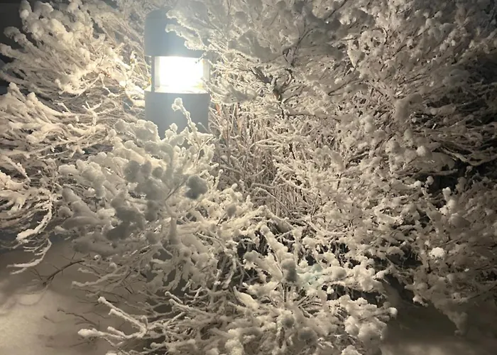 Cozy In The Center *