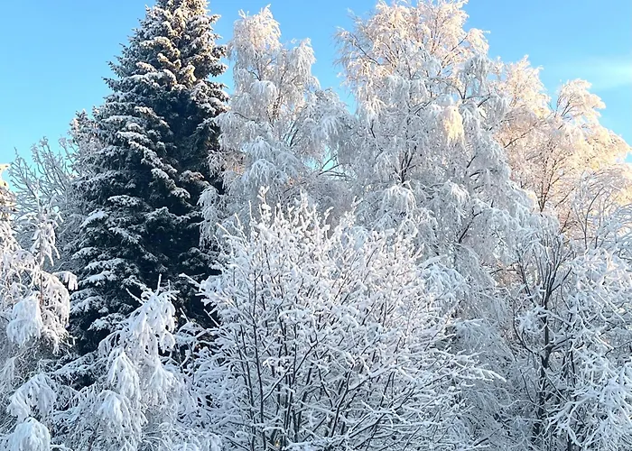 Cozy In The Center Rovaniemi
